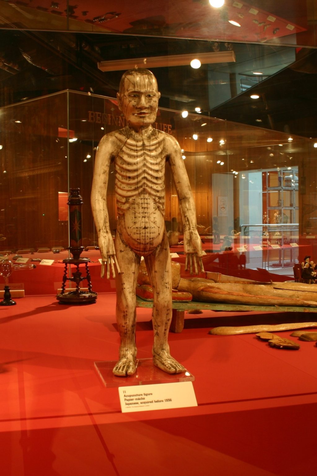 Japanese Acupuncture model, Medicine Man, The Wellcome Building, London (24).JPG